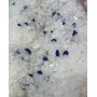 Silica gel bags (desiccant)